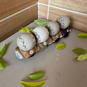 Botador de velcro con pelotas de cuero