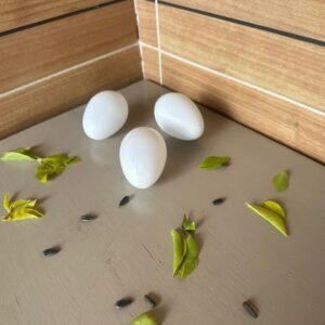 Huevo plástico para gallos o palomas